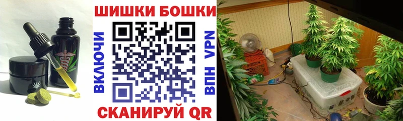 купить наркотик  Суворов  Печенье с ТГК конопля 