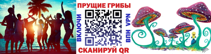 Псилоцибиновые грибы прущие грибы  гидра сайт  Суворов 
